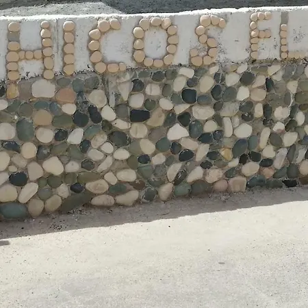 Chicos * Αγία Νάπα